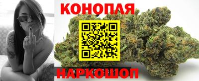 мяу мяу мука Будённовск