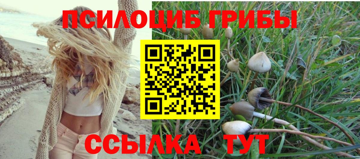 Полысаево  Галлюциногенные грибы Psilocybe  Вход с VPN 