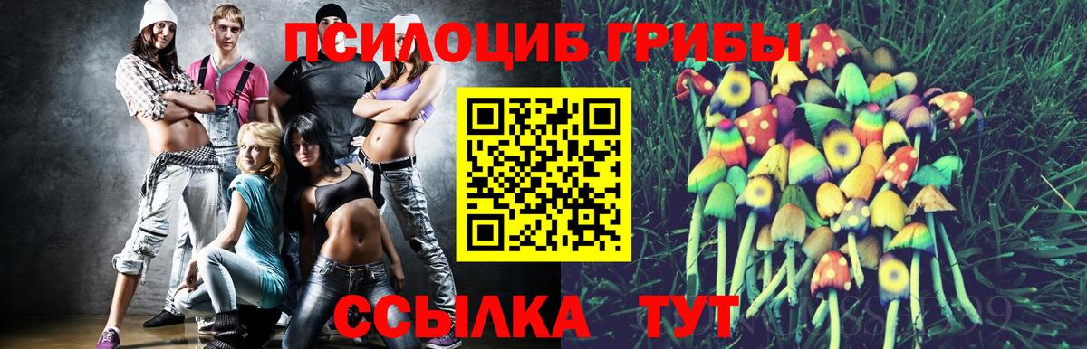 Псилоцибиновые грибы Cubensis Полысаево